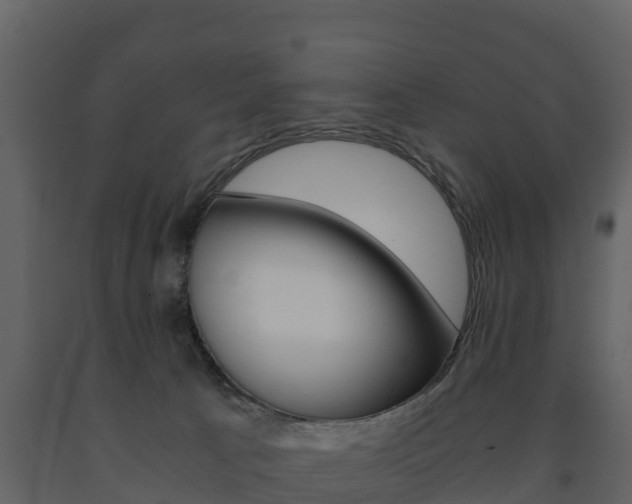 X0000091710033200708241006