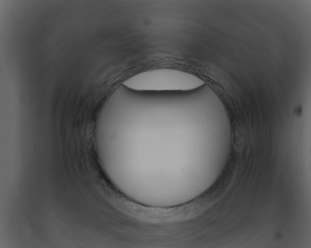 X0000091710034200708241006
