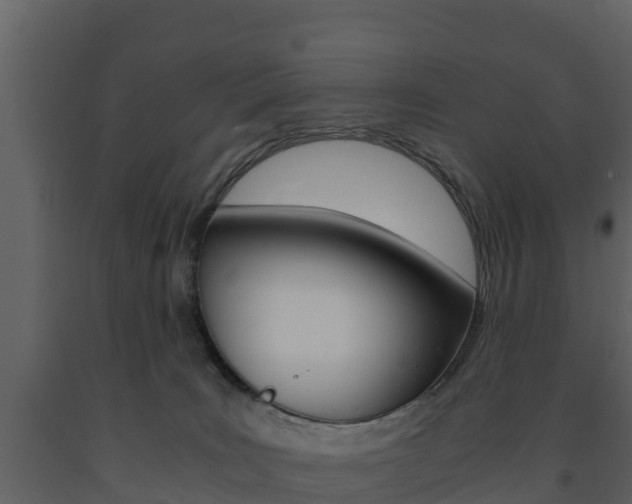 X0000091710035200708241006