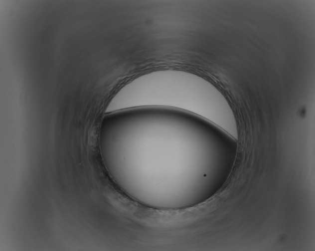 X0000091710037200708241006
