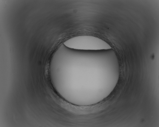 X0000091710038200708241006