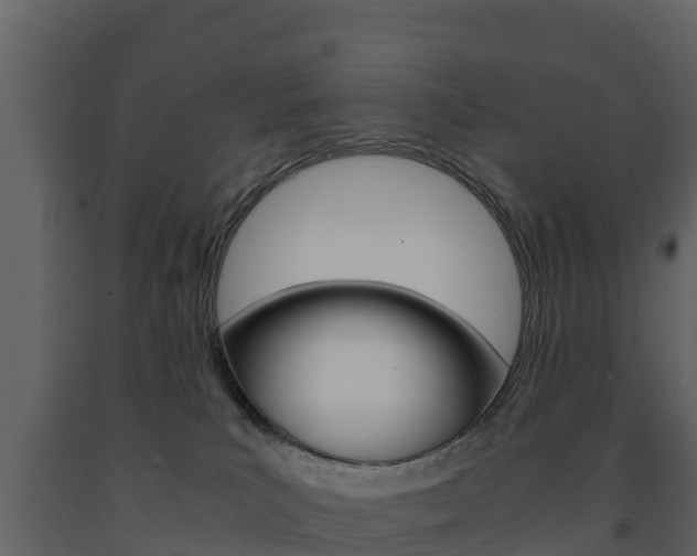 X0000091710039200708241006