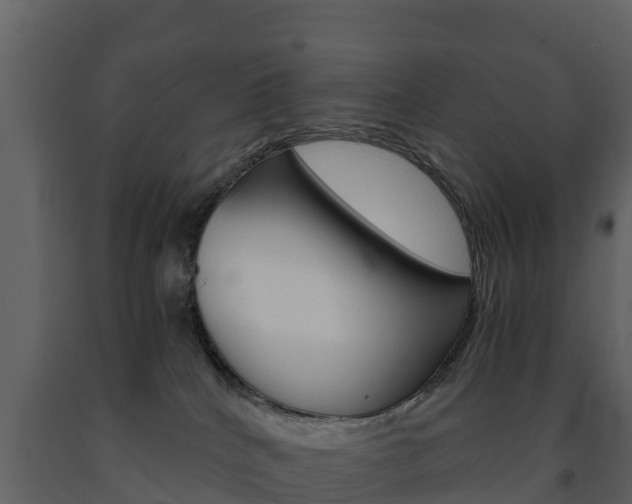 X0000091710040200708241006