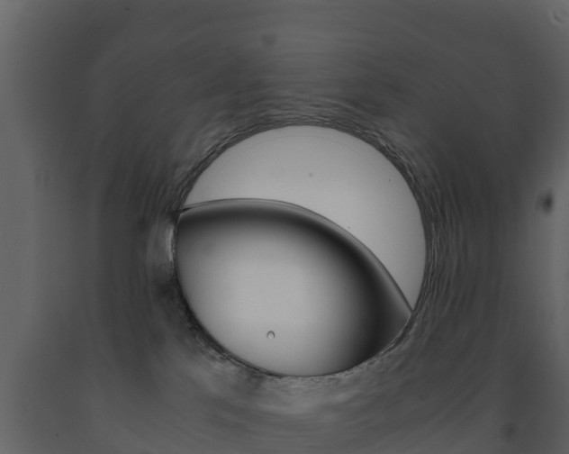 X0000091710041200708241006