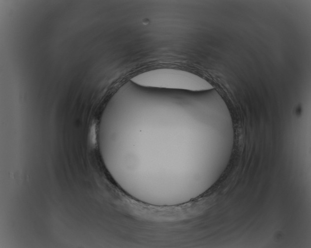 X0000091710042200708241006