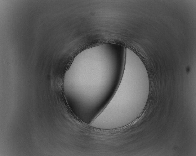 X0000091710045200708241006