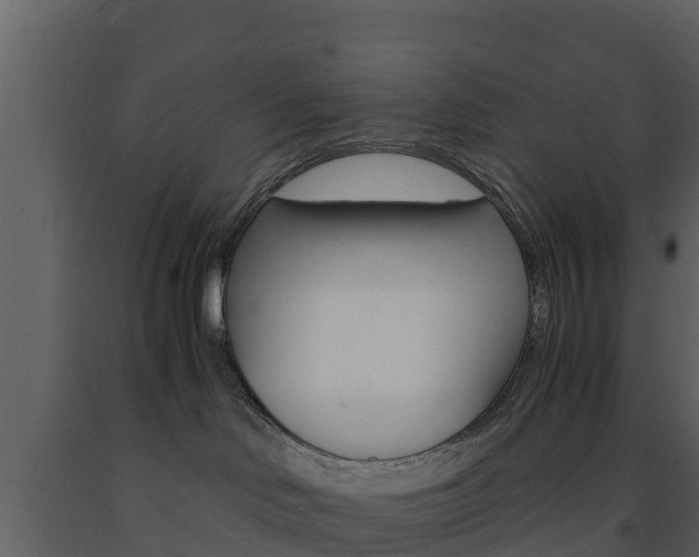 X0000091710046200708241006