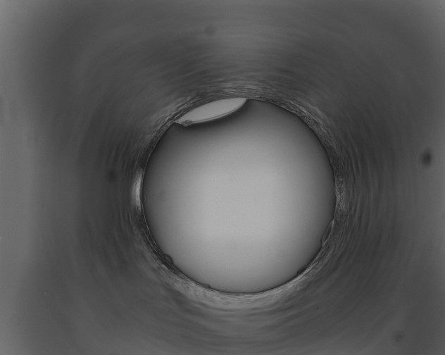 X0000091710047200708241006