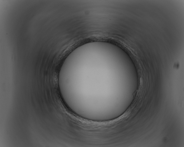 X0000091710048200708241006