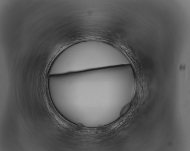 X0000091710049200708241005