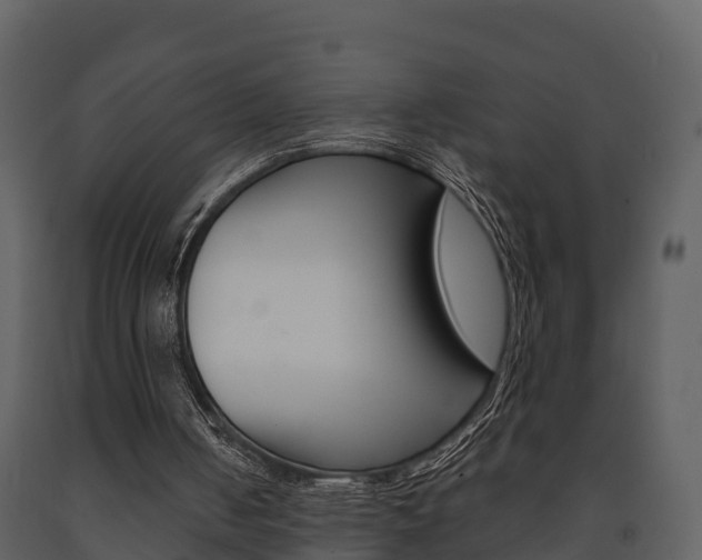 X0000091710050200708241005