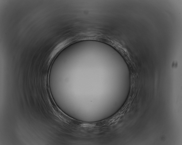 X0000091710051200708241005