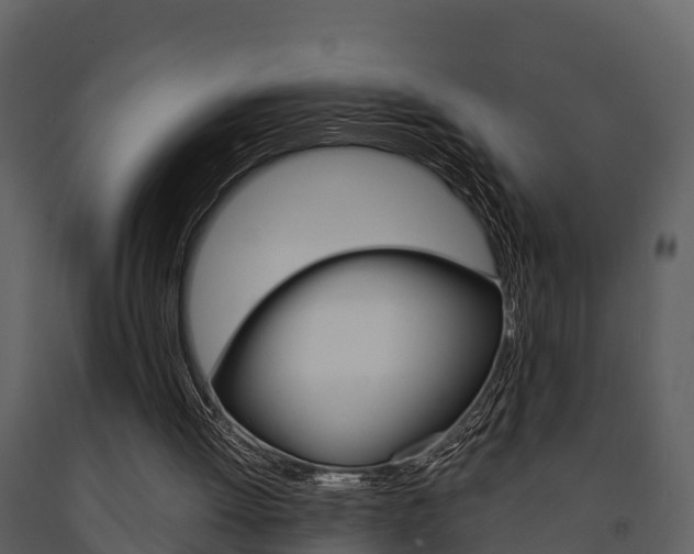 X0000091710052200708241005