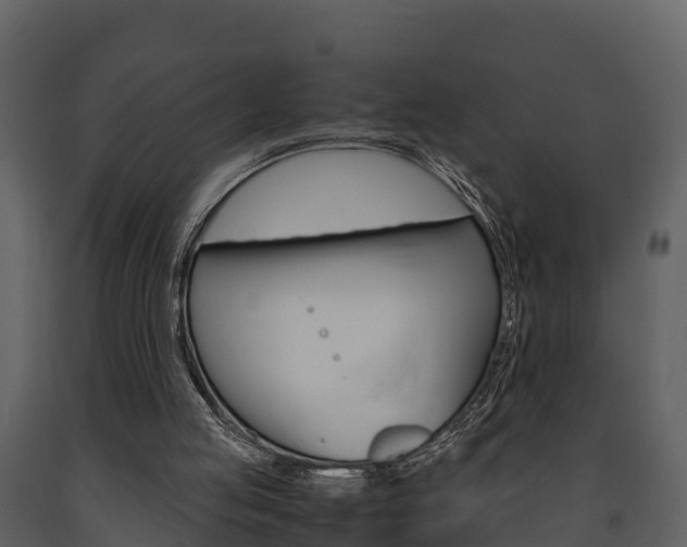 X0000091710053200708241005