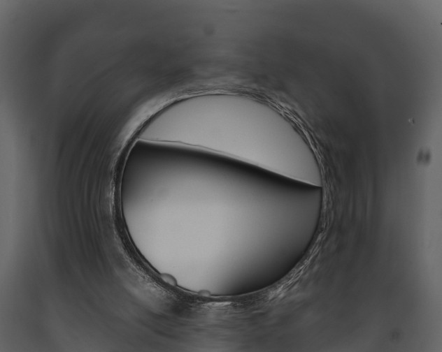 X0000091710054200708241005