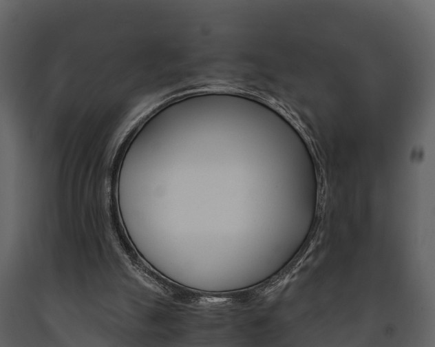 X0000091710055200708241005