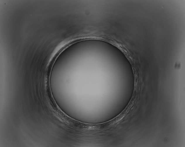 X0000091710056200708241005