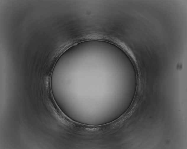 X0000091710057200708241005