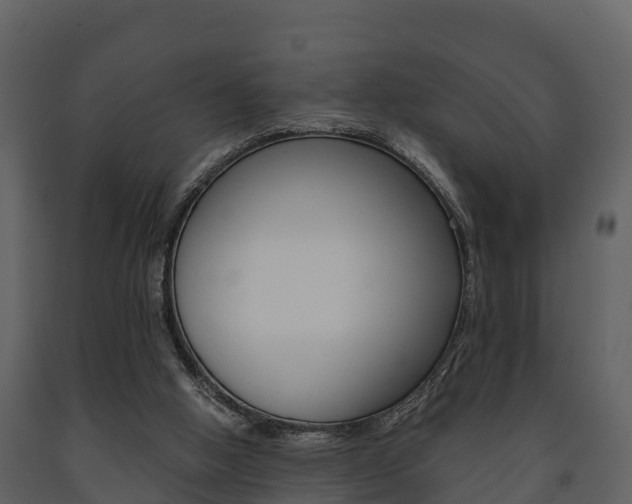 X0000091710058200708241005