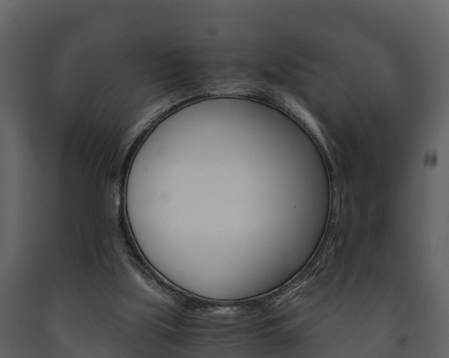 X0000091710059200708241005
