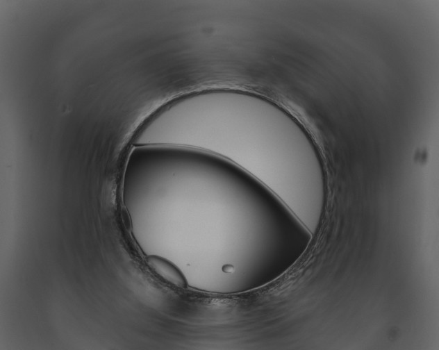 X0000091710060200708241005