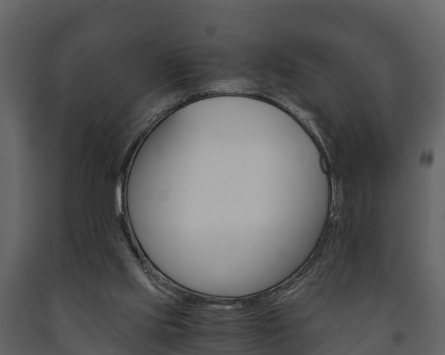 X0000091710061200708241005