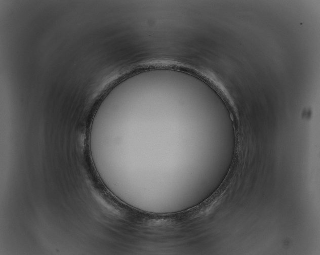 X0000091710063200708241005