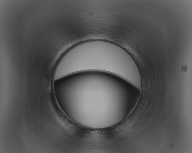 X0000091710064200708241005