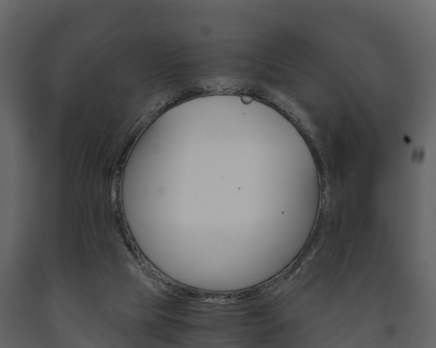 X0000091710065200708241005