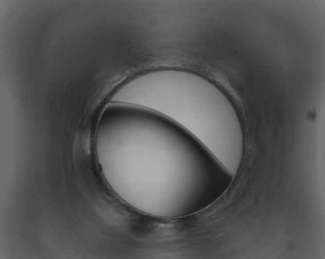 X0000091710068200708241006