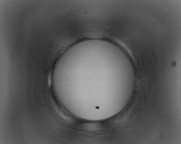 X0000091710069200708241006