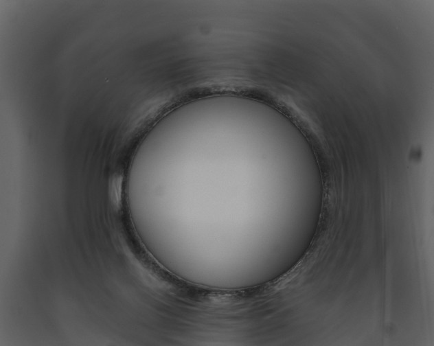 X0000091710070200708241006