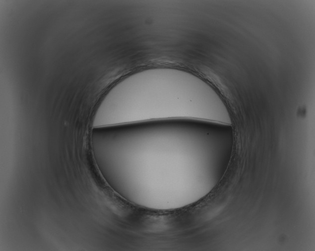 X0000091710071200708241006