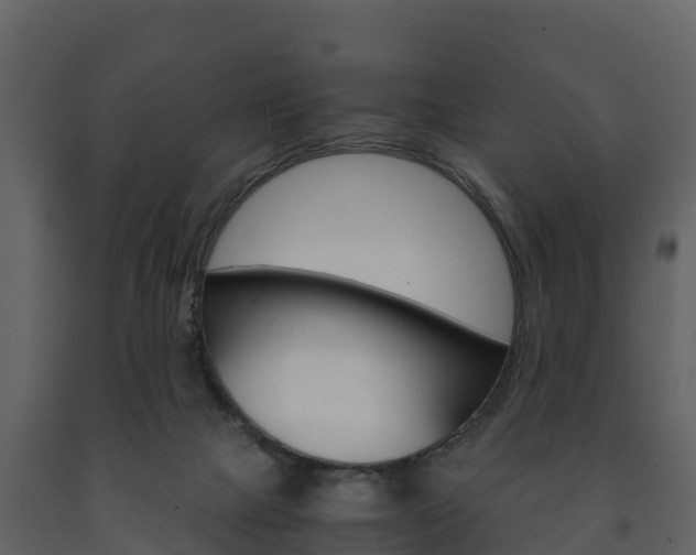 X0000091710073200708241006