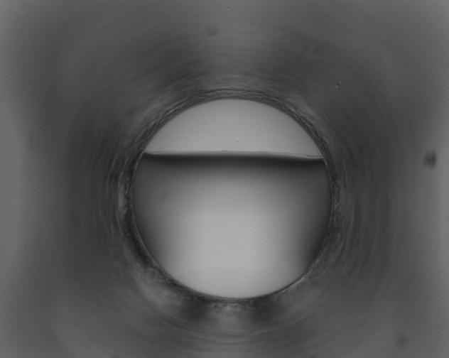 X0000091710074200708241006