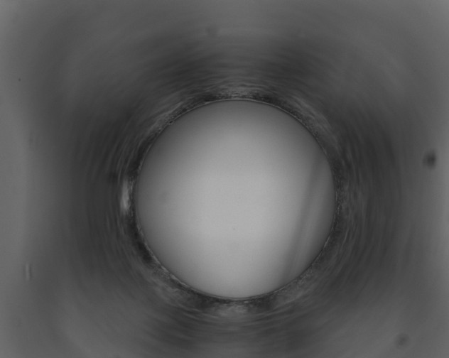 X0000091710075200708241006