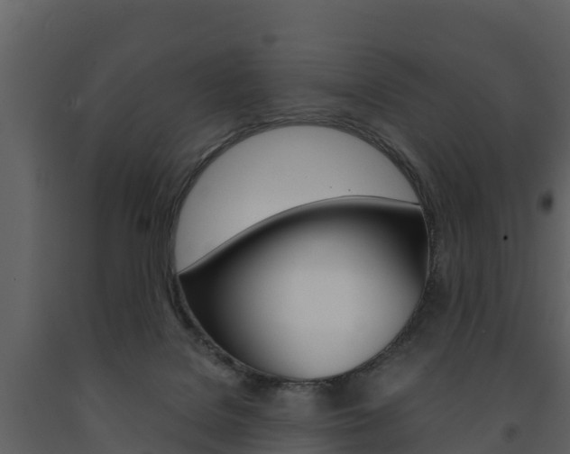 X0000091710076200708241006