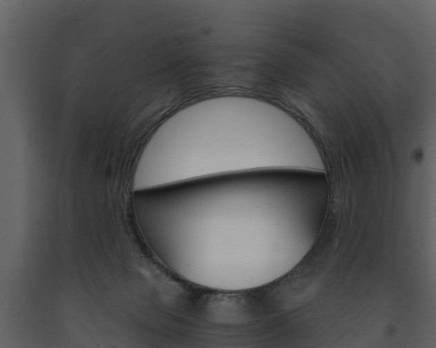 X0000091710077200708241006