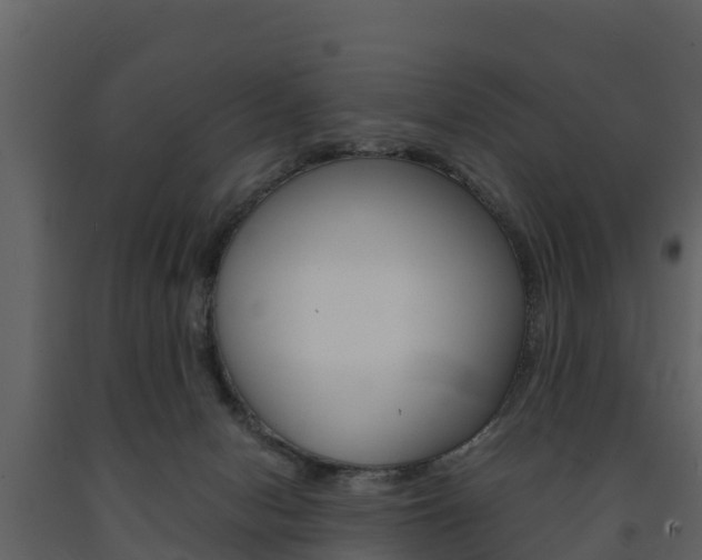 X0000091710078200708241006