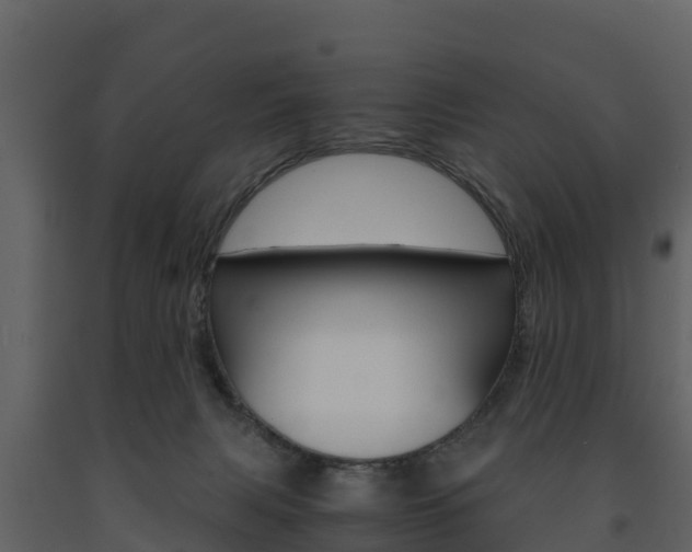 X0000091710079200708241006