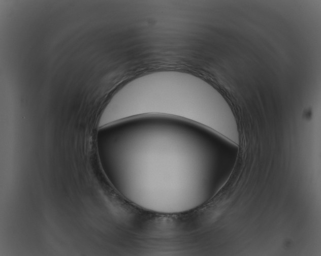 X0000091710080200708241006