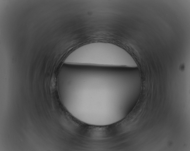 X0000091710081200708241006