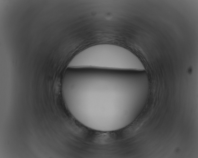 X0000091710083200708241006