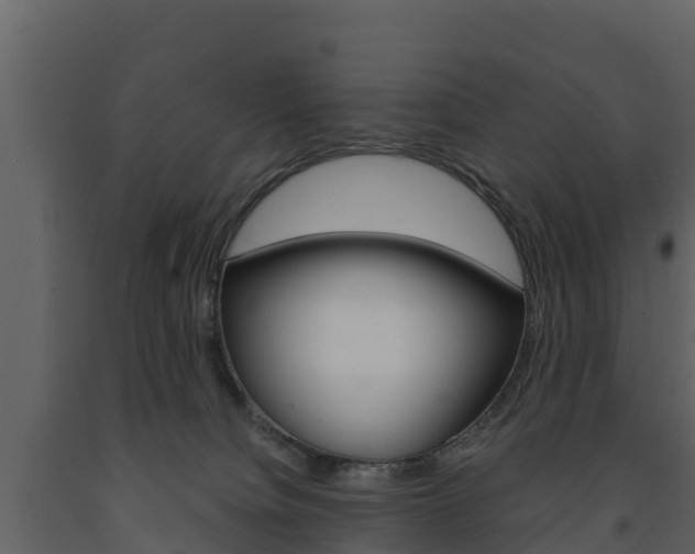 X0000091710084200708241006