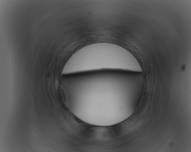 X0000091710085200708241006