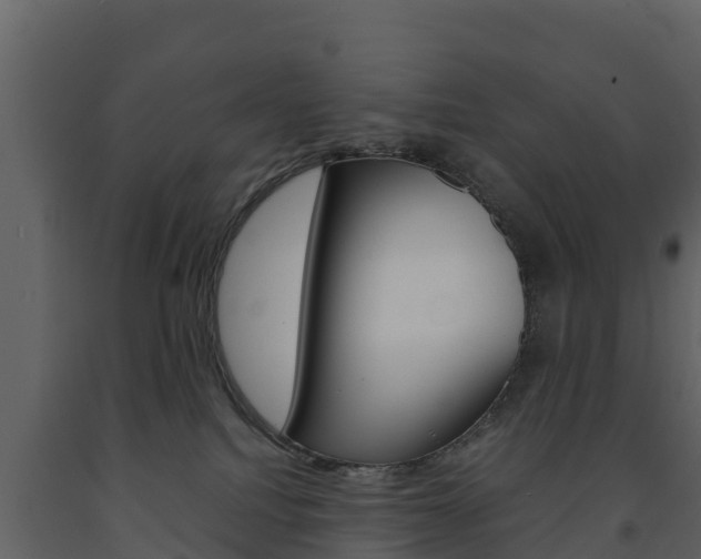 X0000091710088200708241006