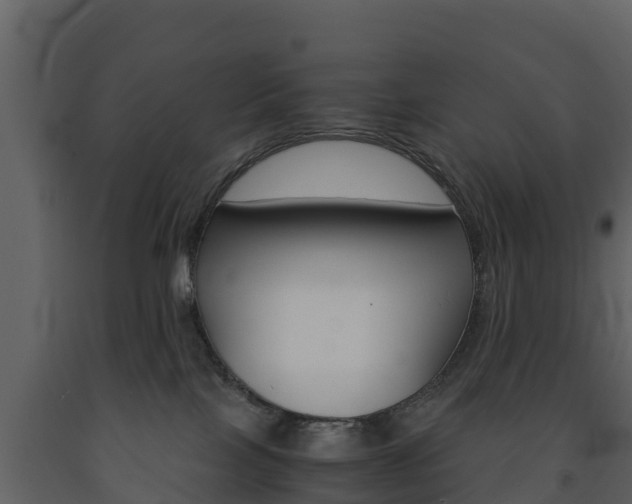 X0000091710089200708241006