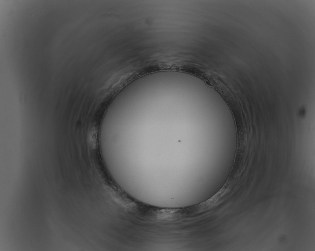 X0000091710090200708241006