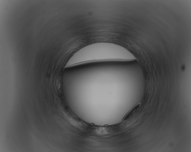 X0000091710091200708241006