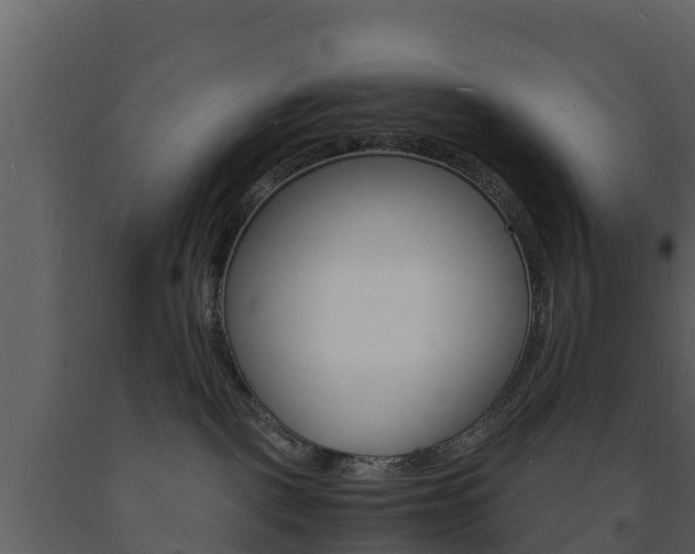 X0000091710093200708241006
